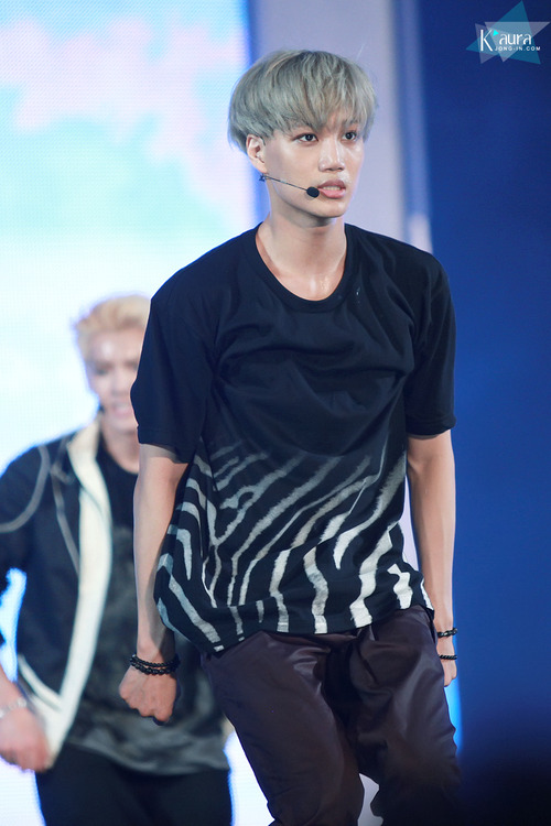 tumblr_mr483nF6n21qhmxnlo1_500.jpg