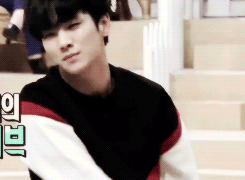 tumblr_mtupgrnSH61re68qao1_250.gif