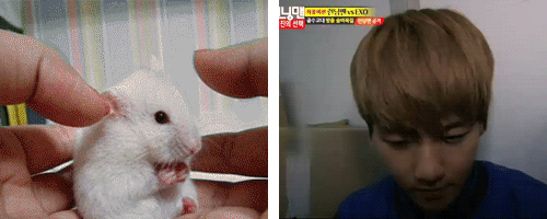bIimbR1.gif