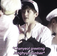 tumblr_myt4n4H14K1rv4ik7o2_r2_250.gif