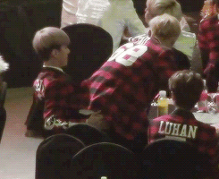 tumblr_n0125qK2F81sb6ikdo4_250.gif
