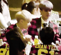tumblr_n0125qK2F81sb6ikdo6_250.gif