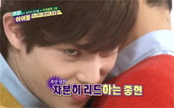 Untitled-5.gif