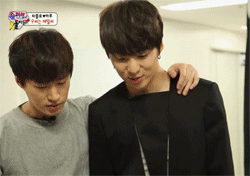 Untitled-6.gif